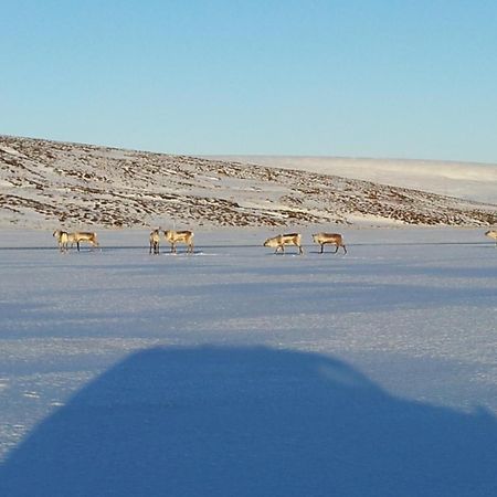 Sireksstadir Farm Holiday Vopnafjordur Exteriér fotografie