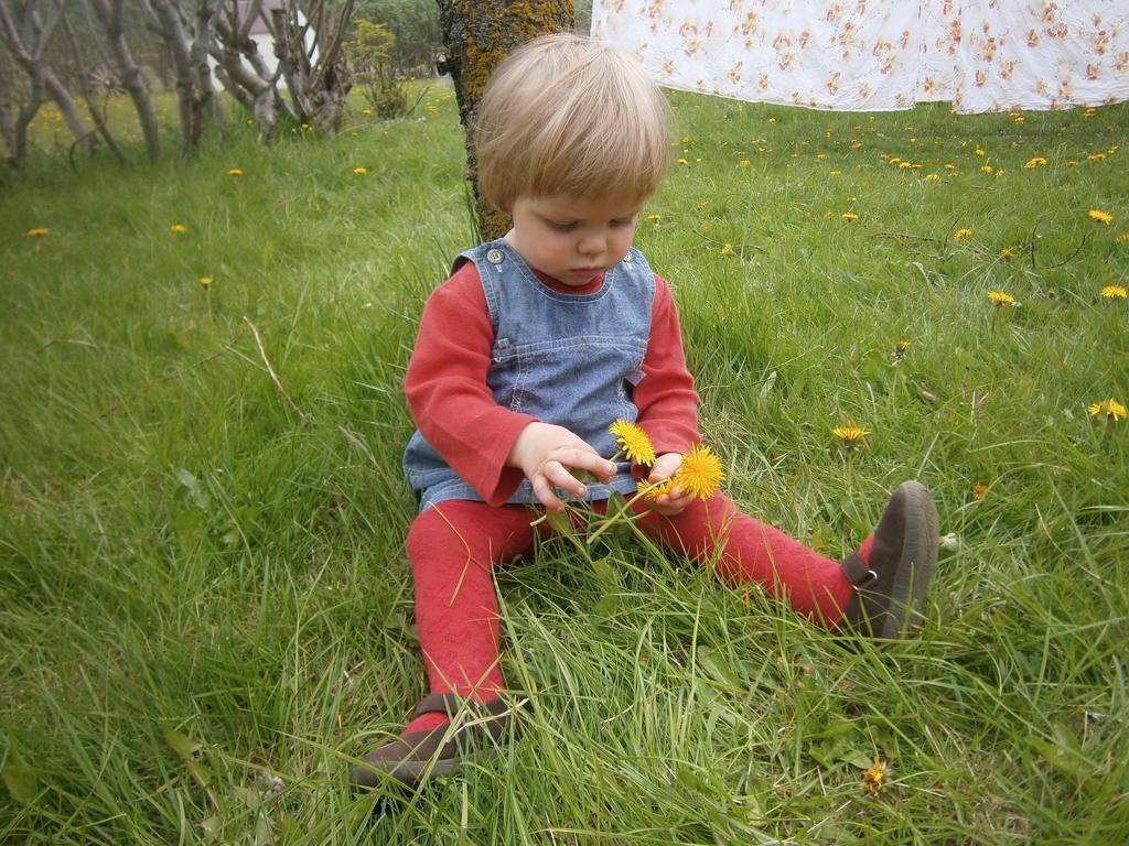 Sireksstadir Farm Holiday Vopnafjorthur Exteriér fotografie