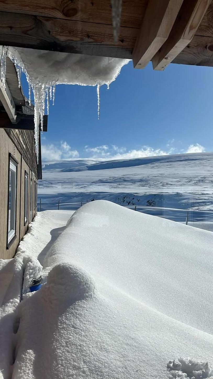 Sireksstadir Farm Holiday Vopnafjordur Exteriér fotografie