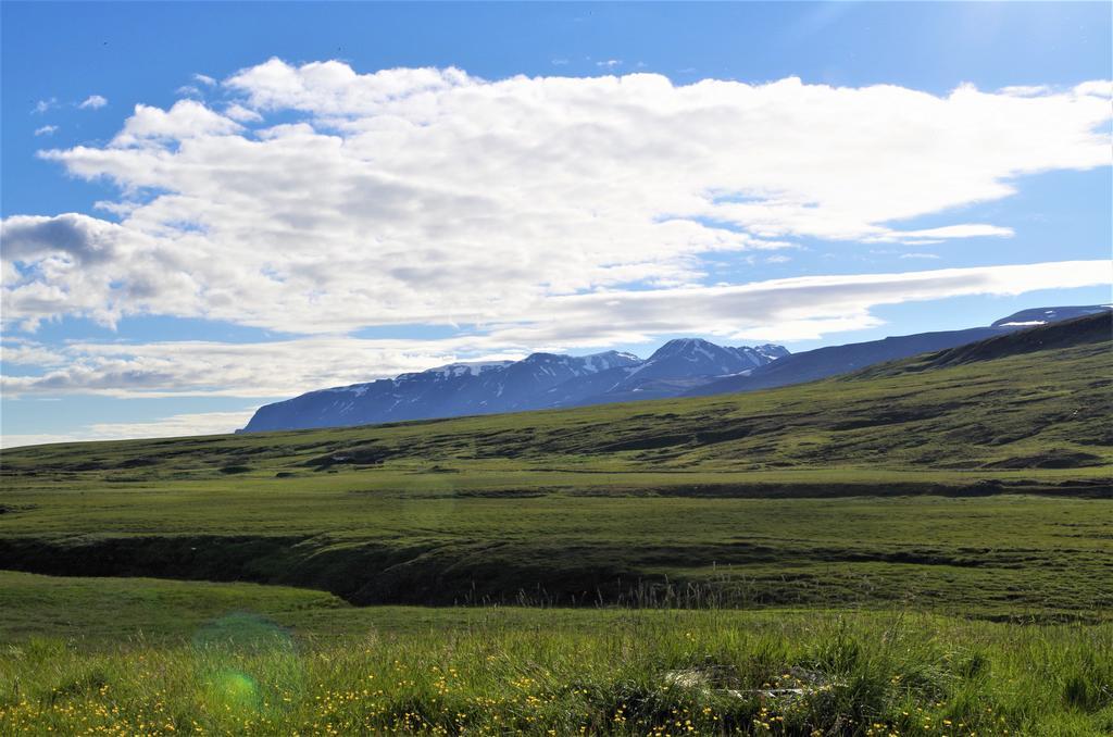 Sireksstadir Farm Holiday Vopnafjordur Exteriér fotografie